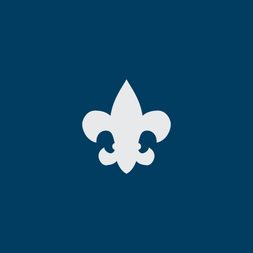 White fleur-de-lis on a dark blue background